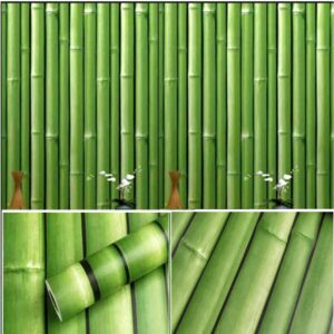 Real Bamboo Wall paper